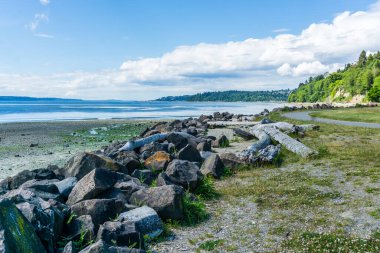 Des Moines, Washington 'daki Saltwater State Parkı' nda kaya hattı..
