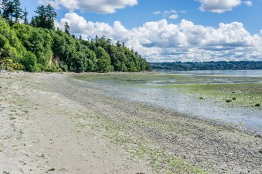 Des Moines, Washington 'daki Tuzlu Su Parkı' nda gelgit başladı..