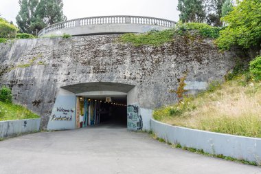 Otursana, WA. ABD - 3 Temmuz 2020 'de. - Siyahların Yaşamı Önemlidir. Doğu Portal Gözcüsü 'nün tünel bankında grafitiler var. .