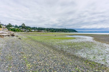 Wasington Eyaleti 'ndeki Normany Park' ta gelgit başladı..