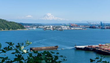Washington 'daki Tacoma Limanı manzarası.