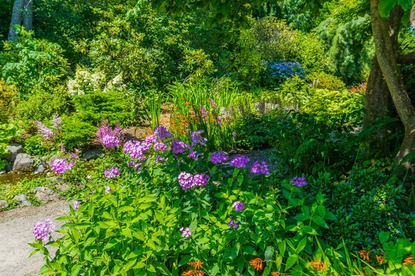 Jardín Flores Seatac Washington — Foto de Stock