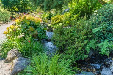 Seata, Washington 'da bir bahçede bir dere..