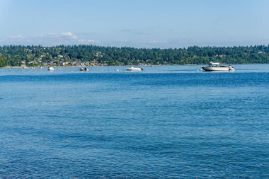 Tekneler Burien, Washington 'da kıyıya yanaştı..