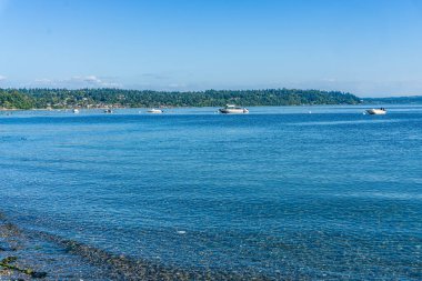Tekneler Burien, Washington 'da kıyıya yanaştı..