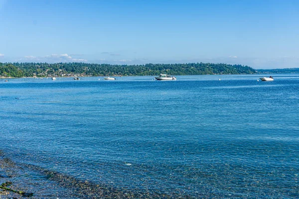 Tekneler Burien, Washington 'da kıyıya yanaştı..