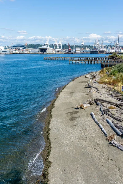 Una Vista Crains Lungo Moli Nel Porto Seattle — Foto Stock