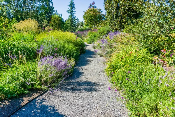 Ένα Μονοπάτι Ένα Βοτανικό Κήπο Στο Bellevue Ουάσιγκτον — Φωτογραφία Αρχείου