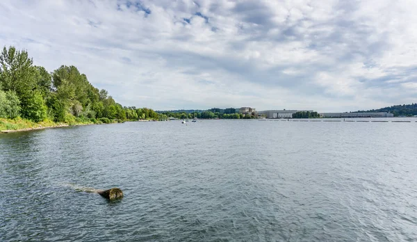 Renton, Washington 'daki Gene Coulon Park' taki kıyı şeridi manzarası.