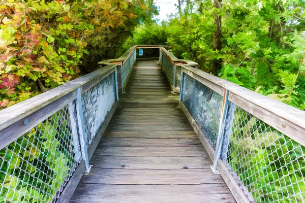 Illustration Une Promenade Gene Coulon Park Renton Washington — Photo