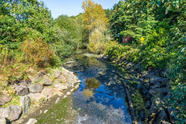 Bir dere Des Moines, Washington 'a doğru akar..