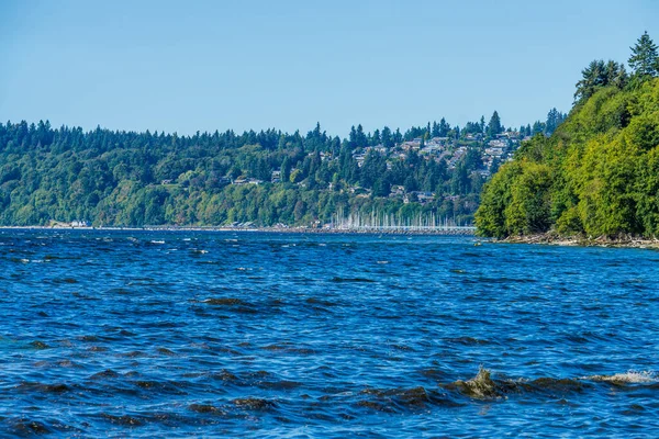 Vatten Och Strandlinje Des Moines Washington — Stockfoto