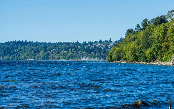 Vatten Och Strandlinje Des Moines Washington — Stockfoto