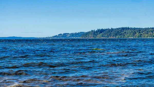 Вода Берегова Лінія Мойн Вашингтон — стокове фото