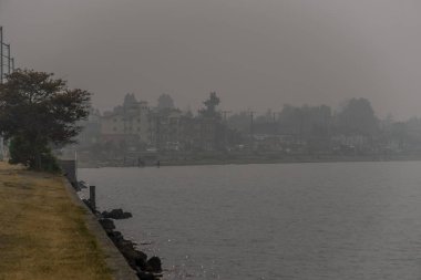 Batı Seatt 'teki Alki Sahili' ndeki orman yangını battaniyelerinden çıkan duman.