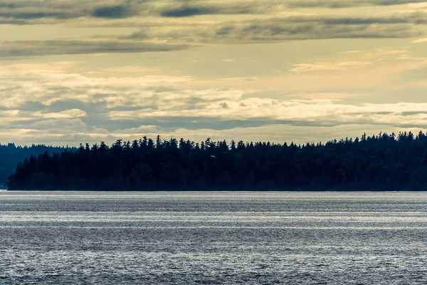 Σύννεφα Κρέμονται Πάνω Από Δέντρα Και Puget Sound Στο Βορειοδυτικό — Φωτογραφία Αρχείου