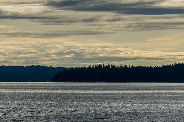 Chmury Wiszą Nad Drzewami Puget Sound Północnym Zachodzie Pacyfiku — Zdjęcie stockowe