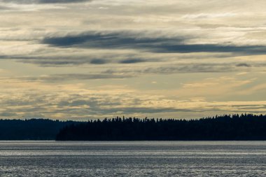 Bulutlar ağaçların ve Kuzeybatı Pasifik 'teki Puget Sound' un üzerinde asılı..