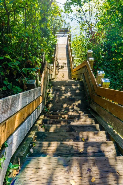 Adegan Tangga Garis Pantai Kayu Taman Normandia Washington — Stok Foto