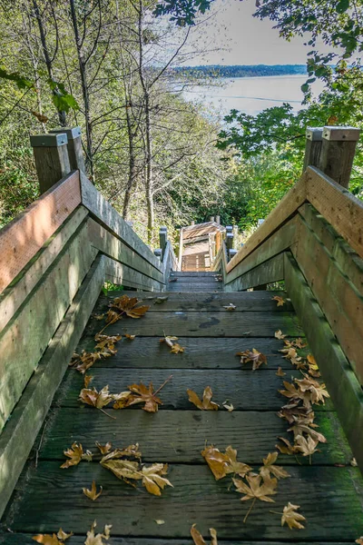 Dik Tahta Merdivenler Normandiya Parkı Washington Daki Suya Çıkıyor — Stok fotoğraf