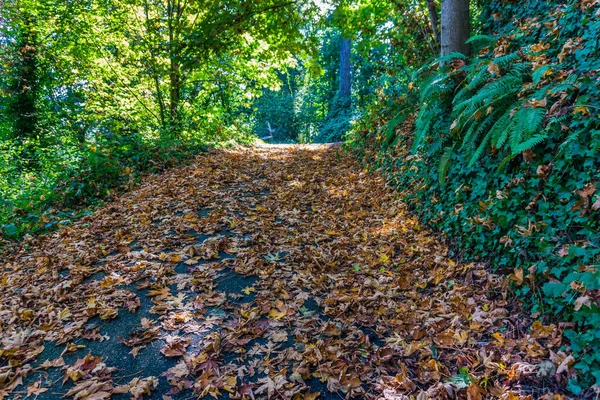 Uma Passarela Normandy Park Washington — Fotografia de Stock