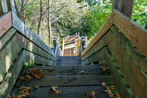 Steep wooden stairs lead down to the water in Normandy Park, Washington.