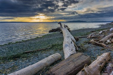 Sürüklenen bir ağaç kütüğü Batı Seattle, Washington 'da batan güneşi gösteriyor..