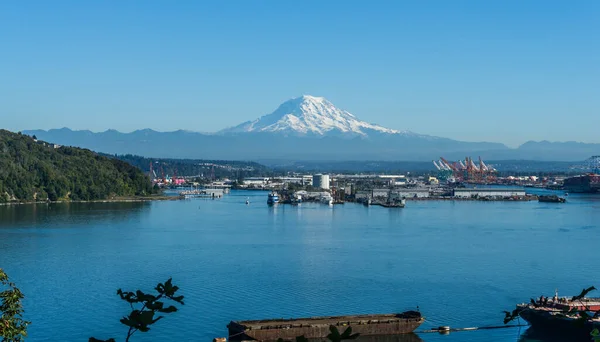 Tacoma Limanı Rainier Dağı Nın Çizimi — Stok fotoğraf