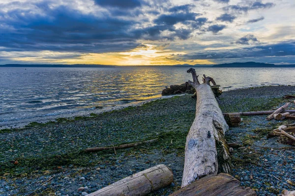 Een Boomstam Wijst Naar Ondergaande Zon West Seattle Washington — Stockfoto