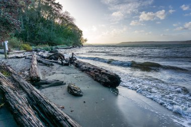Washington, Dash Point 'te bir sahil şeridi..