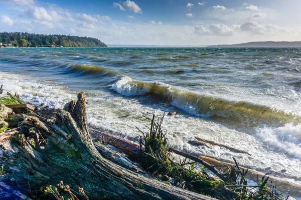 Pemandangan Puget Sound Pada Hari Berangin Dari Normandy Park Washington — Stok Foto