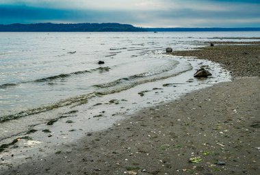 Des Moines, Washington 'daki Saltwater State Park' tan okyanus manzarası.