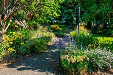 Batı Seattle, Washington 'daki Jack Block Park' ta bir çiçek bahçesi..