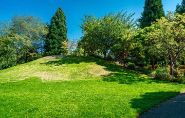 Batı Seattle, Washington 'daki Jack Block Park' ta bir tepe ve çimen manzarası.