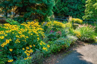 Batı Seattle, Washington 'daki Jack Block Park' ta bir çiçek bahçesi..