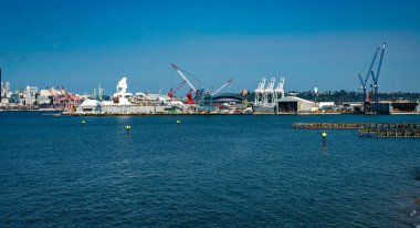 Washington 'daki Seattle Limanı' nda vinç manzarası.