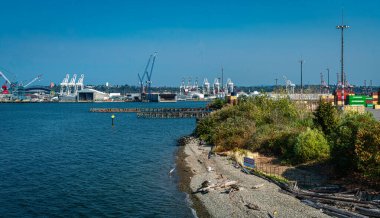Washington 'daki Seattle Limanı' nda vinç manzarası.