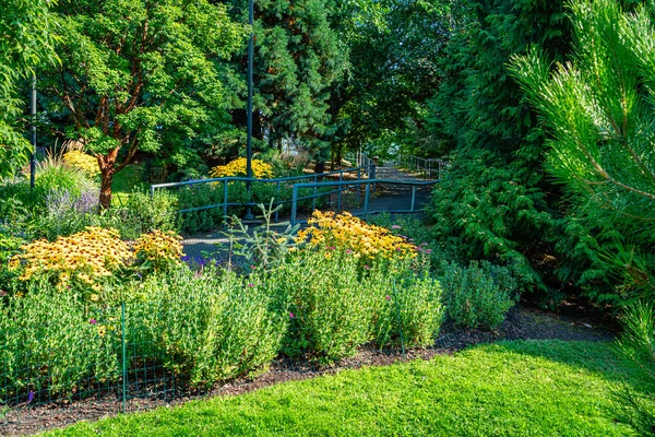 Batı Seattle, Washington 'daki Jack Block Park' ta bir yürüyüş yolu..