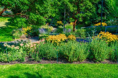 Batı Seattle, Washington 'daki Jack Block Park' ta bir yürüyüş yolu..