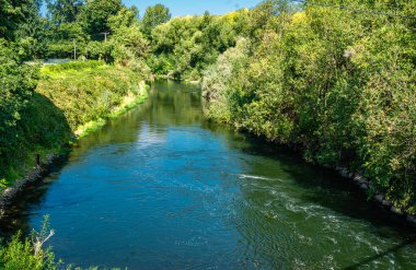 Kent, Washington yakınlarındaki Green River manzaralı..
