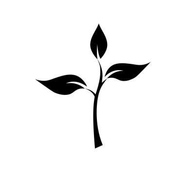 Yerdeki fidan, yeşil genç ağaç, fidan fidanı büyüyen g