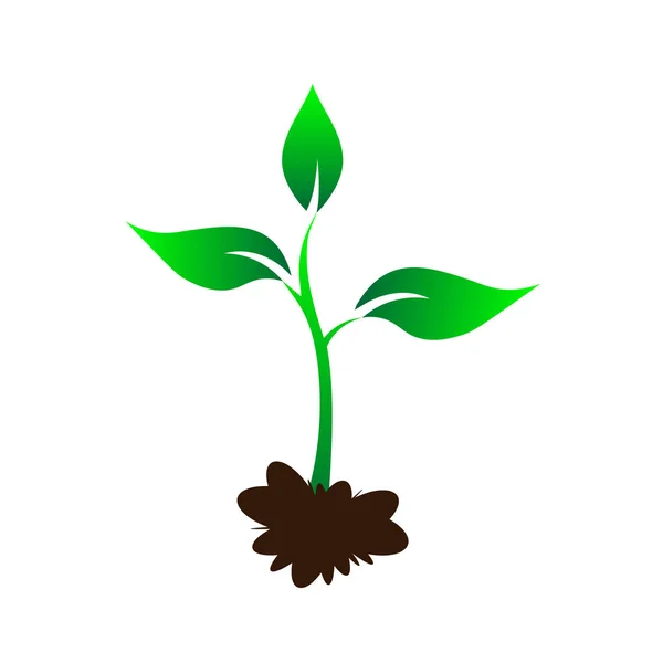 地面に苗木、緑の若い木、成長しているgの苗木 — ストックベクタ