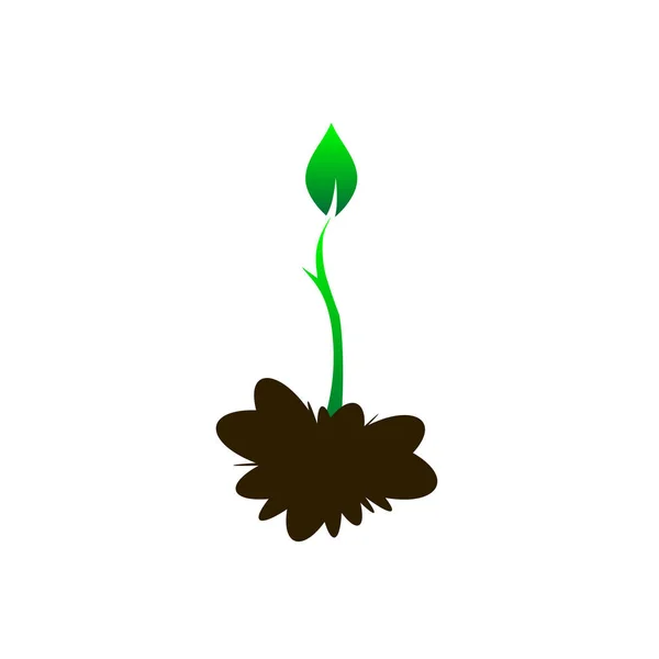 Sapling on the ground, Green Young tree, Plant sapling growing g — стоковый вектор