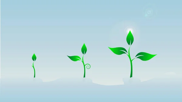 明るい青空での苗木の成長ステップ — ストックベクタ