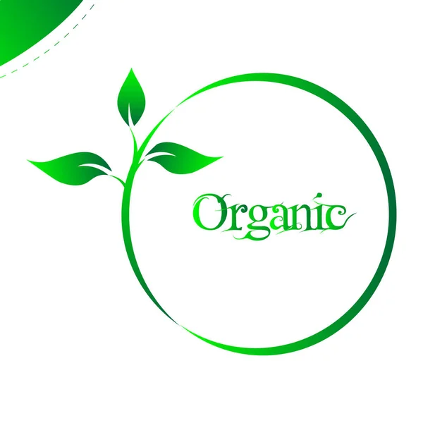 Organice el diseño del logotipo, diseño de plantación natural en concepto orgánico Gráficos Vectoriales