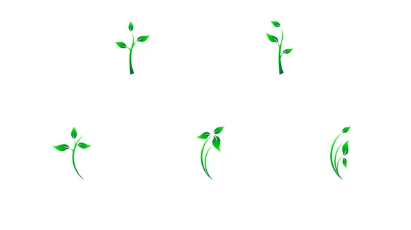 Conjunto de crescente broto, verde jovem árvore fundo —  Vetores de Stock
