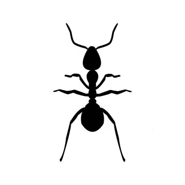 An Ant- animal silhouette flat icon clipart