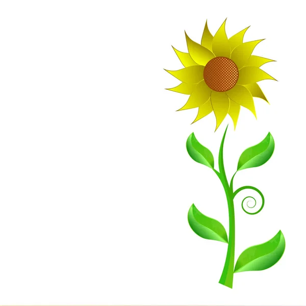 Girasol, flor de la esperanza aislar sobre fondo blanco — Vector de stock