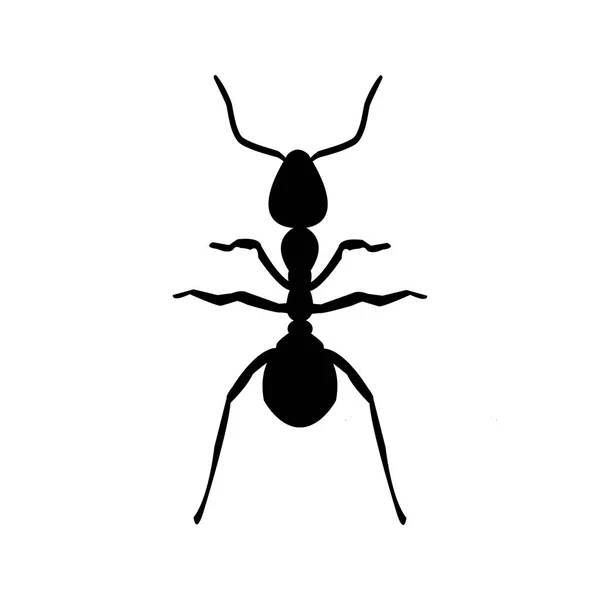 Une icône plate de silhouette fourmi-animale — Image vectorielle
