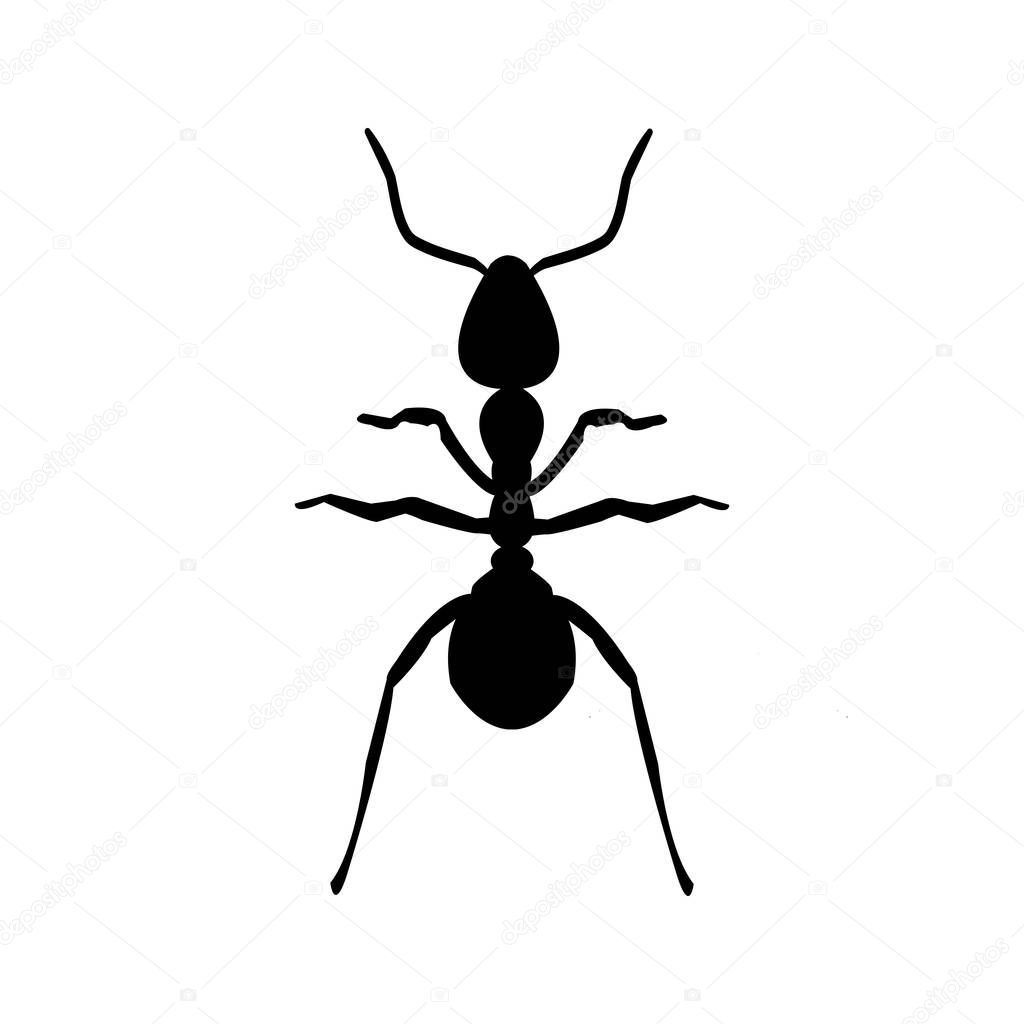 An Ant- animal silhouette flat icon